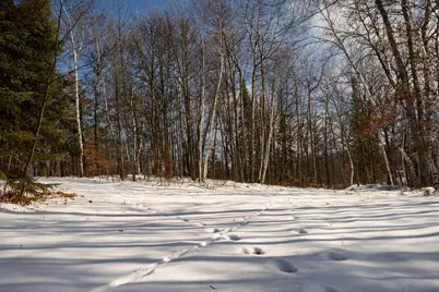Tract B Brietbach Road, Park Rapids, MN 56470 - Photo 25