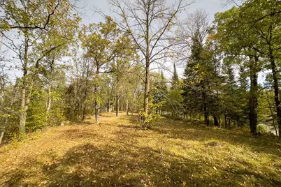 Tract B Brietbach Road, Park Rapids, MN 56470 - Photo 21