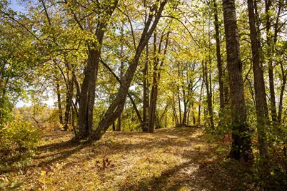 Tract B Brietbach Road, Park Rapids, MN 56470 - Photo 15