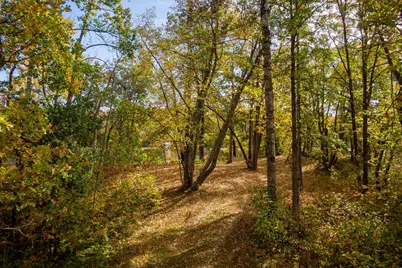 Tract B Brietbach Road, Park Rapids, MN 56470 - Photo 17