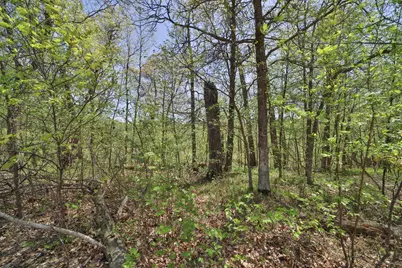 Tbd Weaver Point Road, Breezy Point, MN 56472 - Photo 5