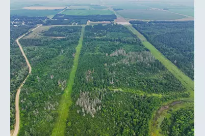 Tbd Arbor Rd, Park Rapids, MN 56470 - Photo 9