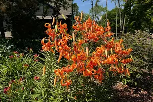 1000 Heritage Ln, Orono, MN 55391 - Photo 27