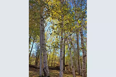 4075 State Highway 38, Grand Rapids, MN 55744 - Photo 17