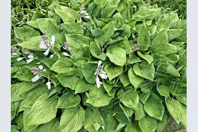 4075 State Highway 38, Grand Rapids, MN 55744 - Photo 19