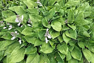 4075 State Hwy 38, Grand Rapids, MN 55744 - Photo 19