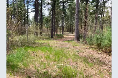 Lot 2 Surely Drive, Siren Township, WI 54872 - Photo 11