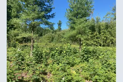 Lot 3 Surely Drive, Siren Township, WI 54872 - Photo 23