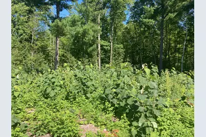 Lot 4 Surely Drive, Siren Township, WI 54872 - Photo 25