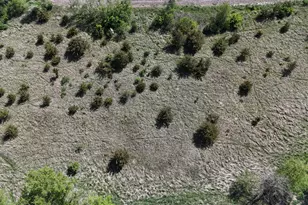 56060 375th Ave, Zumbro Township, MN 55906 - Photo 21