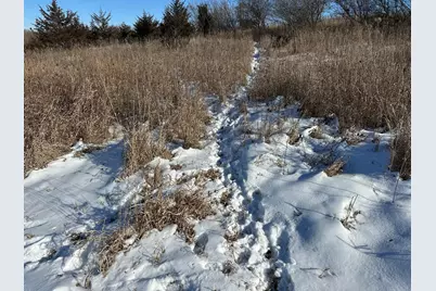 56060 375th Avenue, Zumbro Township, MN 55906 - Photo 29