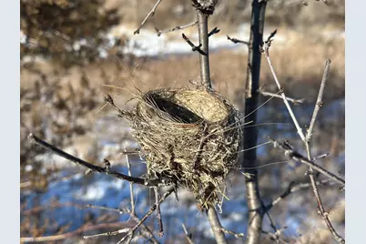 56060 375th Avenue, Zumbro Township, MN 55906 - Photo 27