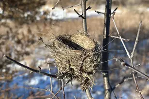 56060 375th Ave, Zumbro Township, MN 55906 - Photo 27