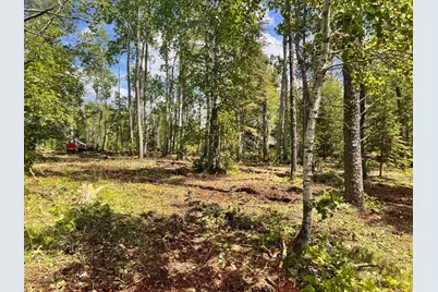 Xxxx County 37, Laporte, MN 56461 - Photo 3