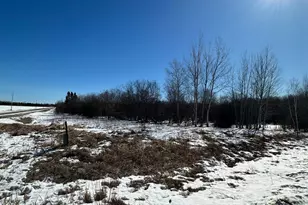 Tbd 8th Street NW, Baudette, MN 56623 - Photo 1