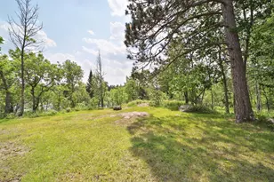 10124 Timber Wolf Trl, Kabetogama, MN 56669 - Photo 77