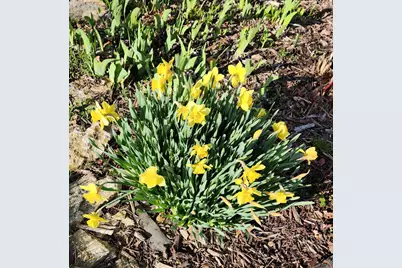 4230 Arboretum Drive NW, Rochester, MN 55901 - Photo 89