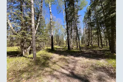 Tbd Necktie Loop, Lake George Township, MN 56458 - Photo 3