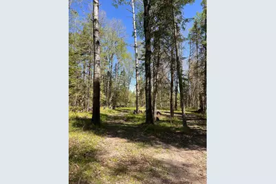 Tbd Necktie Loop, Lake George Township, MN 56458 - Photo 7