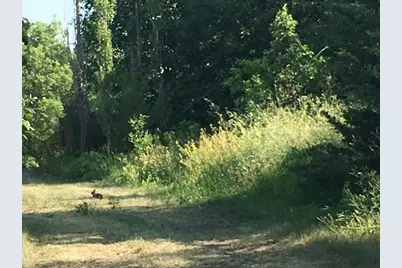 6757 164th Street SE, Atwater, MN 56209 - Photo 31