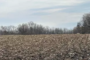 Xxxx Ames Ave NW, Maple Lake Township, MN 55313 - Photo 1