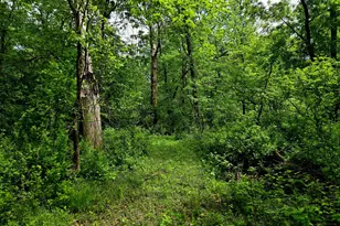 5751 16th Ave SE, Saint Cloud, MN 56304 - Photo 57