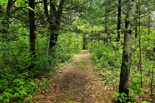 5751 16th Ave SE, Saint Cloud, MN 56304 - Photo 55