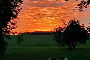 2675 380th St, Boyd, MN 56218 - Photo 81