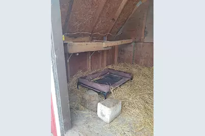 2675 380th Street, Boyd, MN 56218 - Photo 83