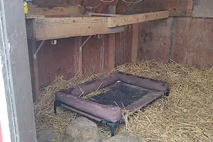 2675 380th St, Boyd, MN 56218 - Photo 83