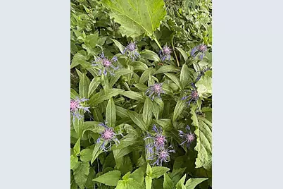 2675 380th Street, Boyd, MN 56218 - Photo 95