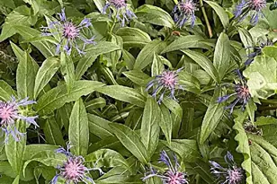 2675 380th St, Boyd, MN 56218 - Photo 95