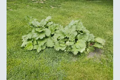 2675 380th Street, Boyd, MN 56218 - Photo 93