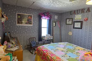 2675 380th St, Boyd, MN 56218 - Photo 69