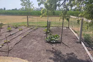 2675 380th St, Boyd, MN 56218 - Photo 91