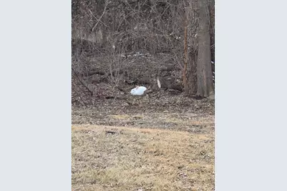 2675 380th Street, Boyd, MN 56218 - Photo 97