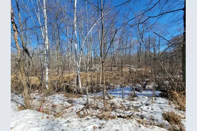 Xxxx Meadow Lake Road SW, Motley, MN 56466 - Photo 9