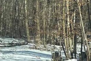 Xxx Birchcurve Rd, Cushing Township, MN 56475 - Photo 1