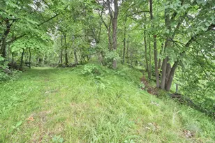 Tbd Wildlife Trail, Pequot Lakes, MN 56472 - Photo 57