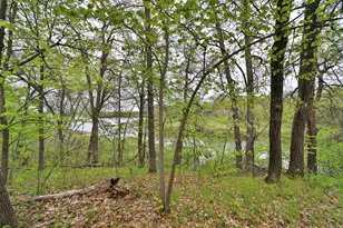 Tbd Wildlife Trail, Pequot Lakes, MN 56472 - Photo 43