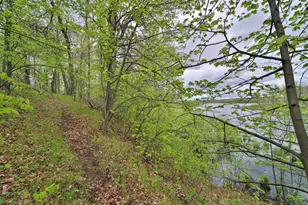 Tbd Wildlife Trail, Pequot Lakes, MN 56472 - Photo 51