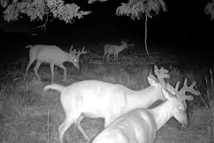 0 County Road Jj, Stockholm, WI 54769 - Photo 1