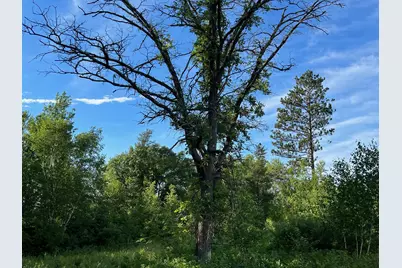 W39Xx Frog Creek Road, Minong, WI 54859 - Photo 23