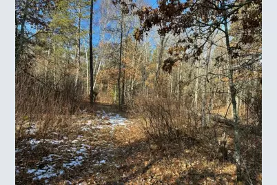 Tbd Wildwood Ave, Nevis, MN 56467 - Photo 3