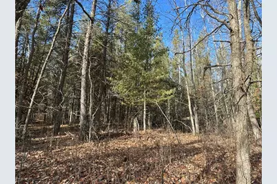 Tbd Wildwood Ave, Nevis, MN 56467 - Photo 9