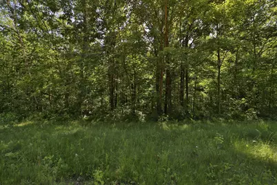 Tract C Olander Road, Crosby, MN 56441 - Photo 7