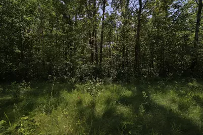 Tract C Olander Road, Crosby, MN 56441 - Photo 5