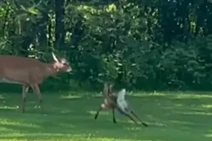 35455 100th Ave, Onamia, MN 56359 - Photo 79