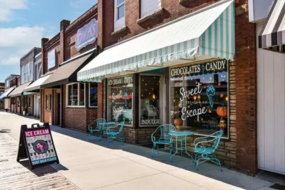 451 Valley Drive W, Annandale, MN 55302 - Photo 41