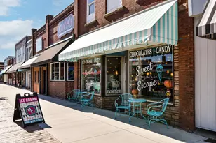 451 Vly Dr W, Annandale, MN 55302 - Photo 41